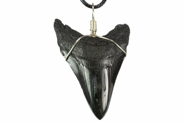 Fossil Megalodon Tooth Necklace #130388